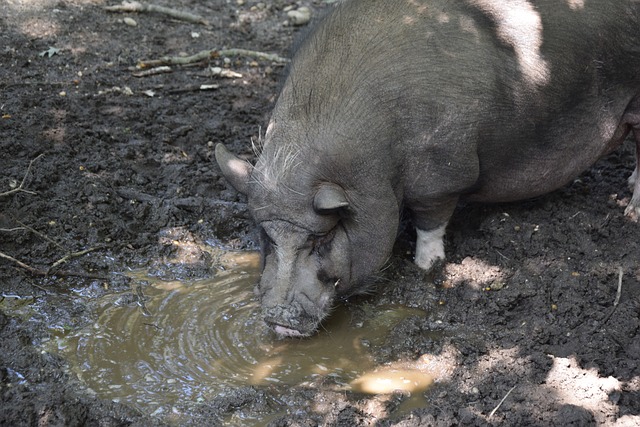 这篇文章将 这篇文章将