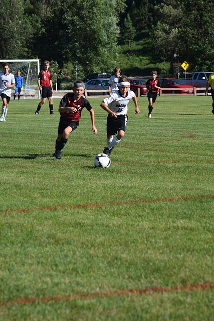 在近五次交 在近五次交