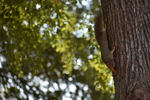 悔与榜样作 悔与榜样作