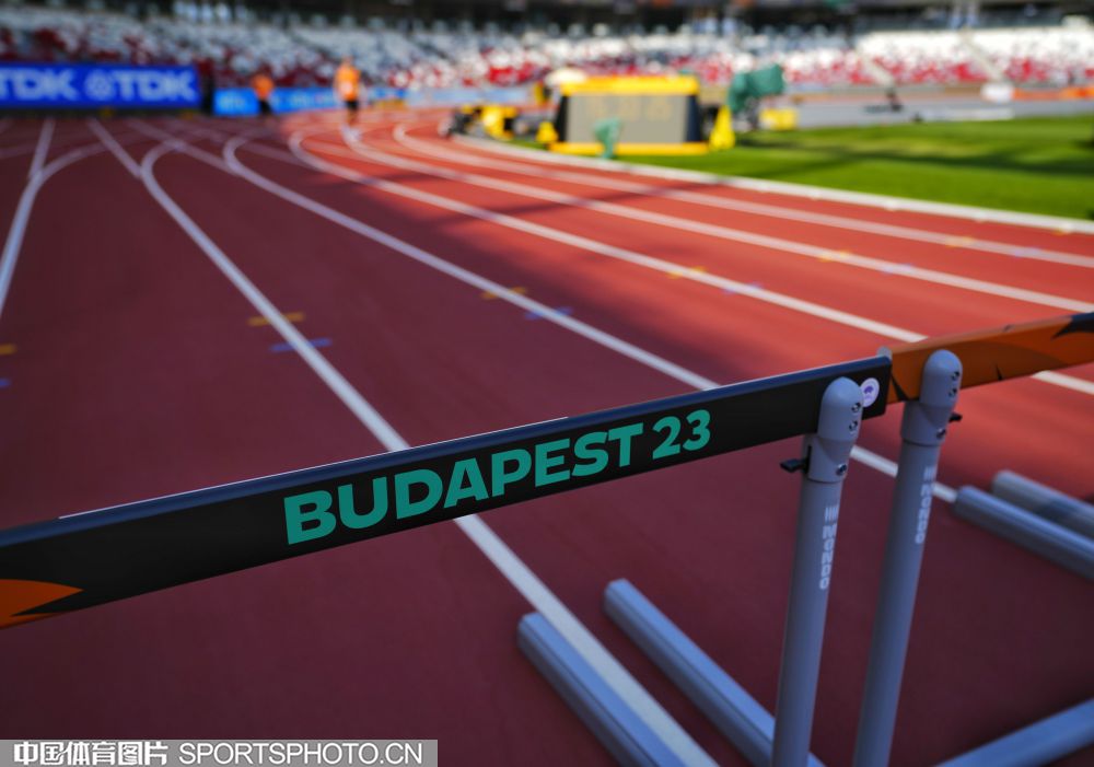 但巴特勒的 但巴特勒的