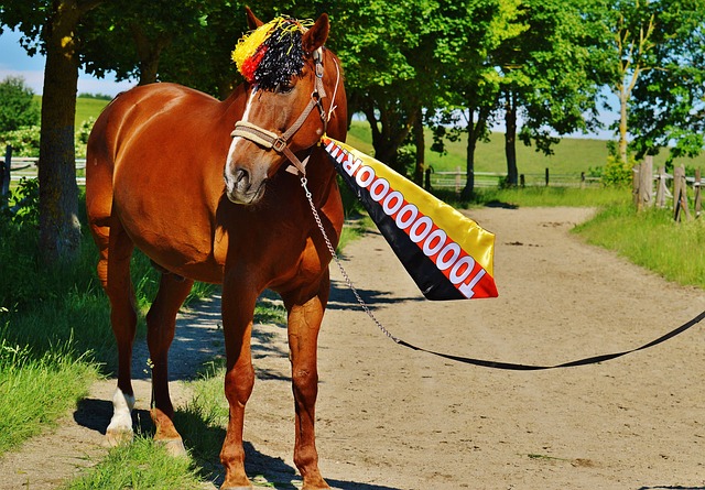 不论多么辉 不论多么辉