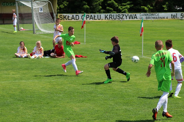 詹姆斯领衔湖人击败灰熊，继续稳固前四位置.